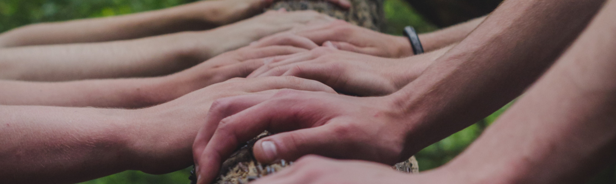 An image of several hands leaning on a tree log, showing teamworking